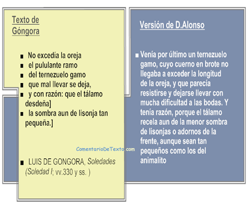 soledadesgxxx